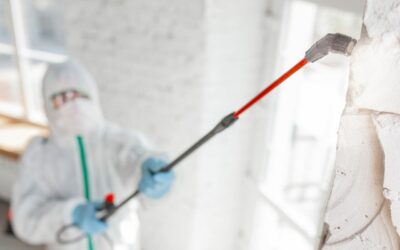 Prix de la Décontamination de Moisissure : Combien Cela Coûte-T-Il à Montréal et Laval ?